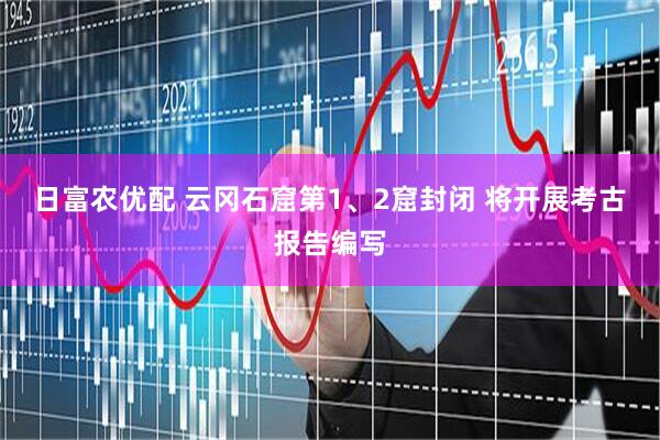 日富农优配 云冈石窟第1、2窟封闭 将开展考古报告编写