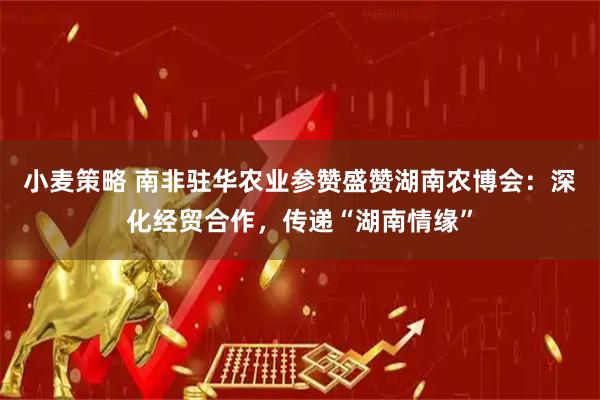 小麦策略 南非驻华农业参赞盛赞湖南农博会：深化经贸合作，传递“湖南情缘”