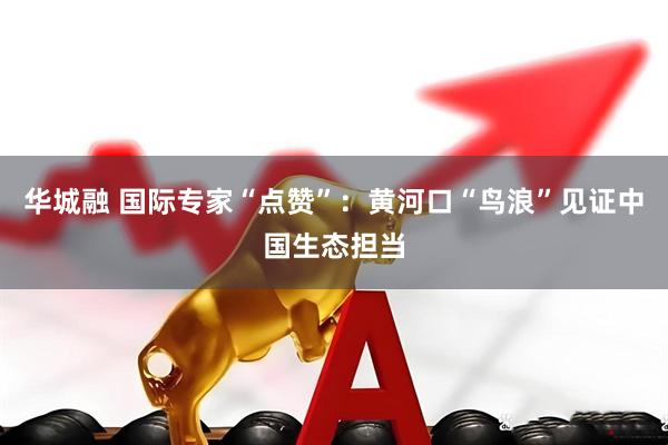 华城融 国际专家“点赞”：黄河口“鸟浪”见证中国生态担当