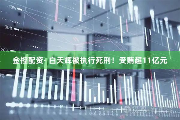 金控配资· 白天辉被执行死刑！受贿超11亿元