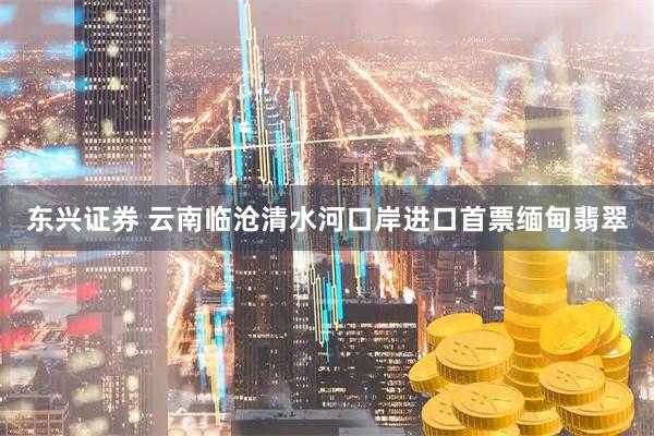 东兴证券 云南临沧清水河口岸进口首票缅甸翡翠