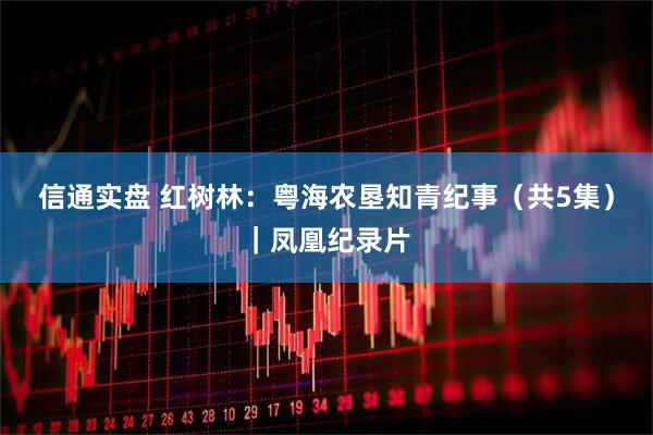 信通实盘 红树林：粤海农垦知青纪事（共5集）｜凤凰纪录片