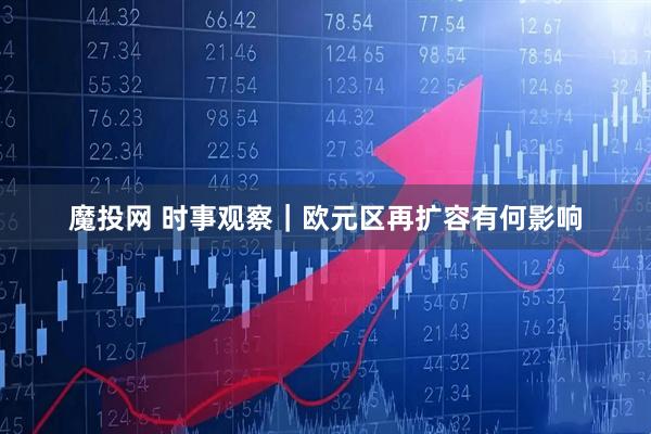魔投网 时事观察｜欧元区再扩容有何影响